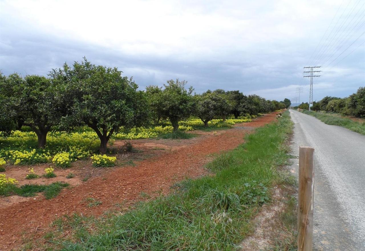 הוילה Jardines De Denia 3 מראה חיצוני תמונה